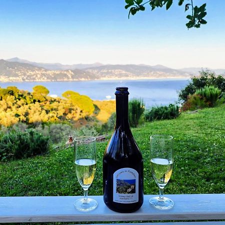 Agriturismo Terre Rosse Portofino Villa ภายนอก รูปภาพ