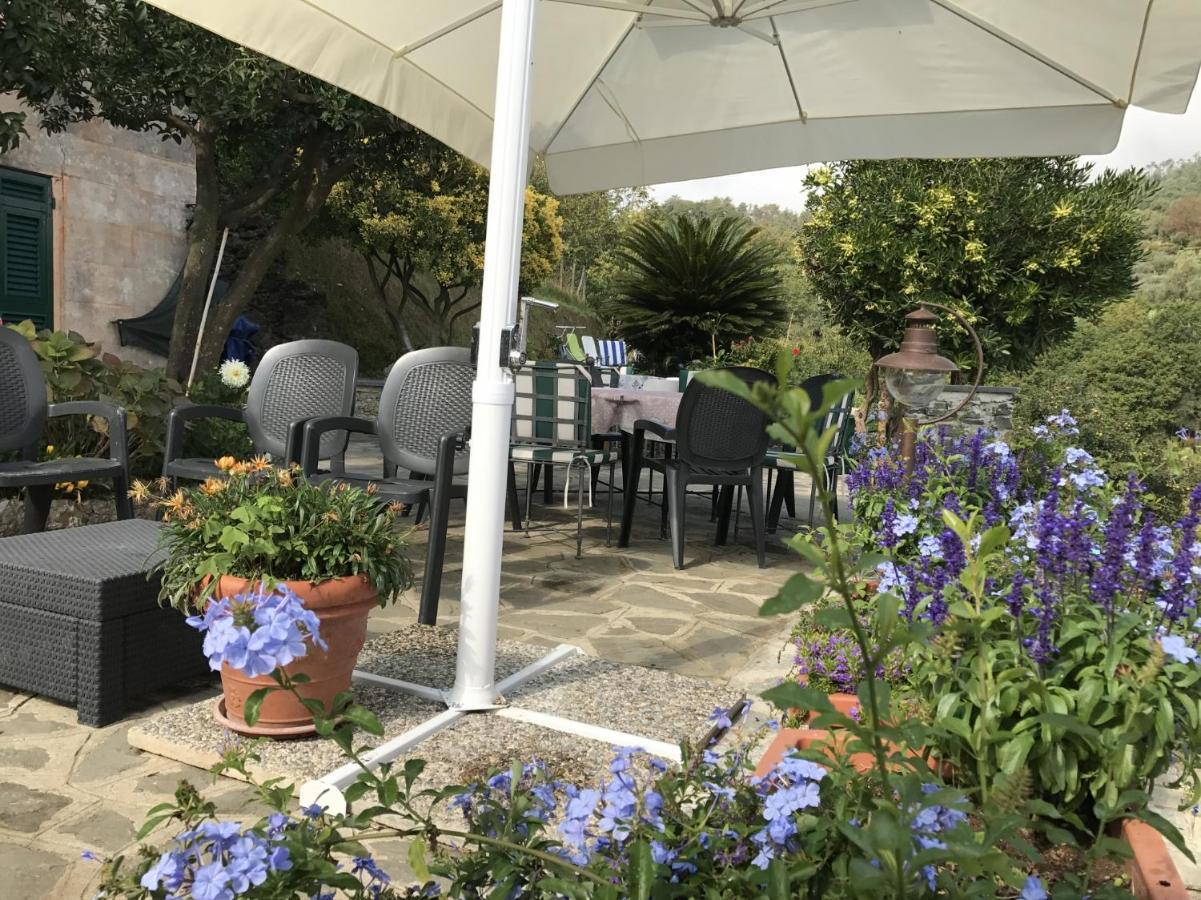 Agriturismo Terre Rosse Portofino Villa ภายนอก รูปภาพ