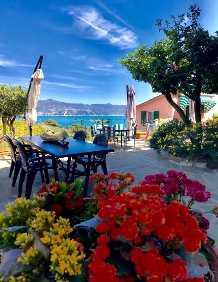 Agriturismo Terre Rosse Portofino Villa ภายนอก รูปภาพ