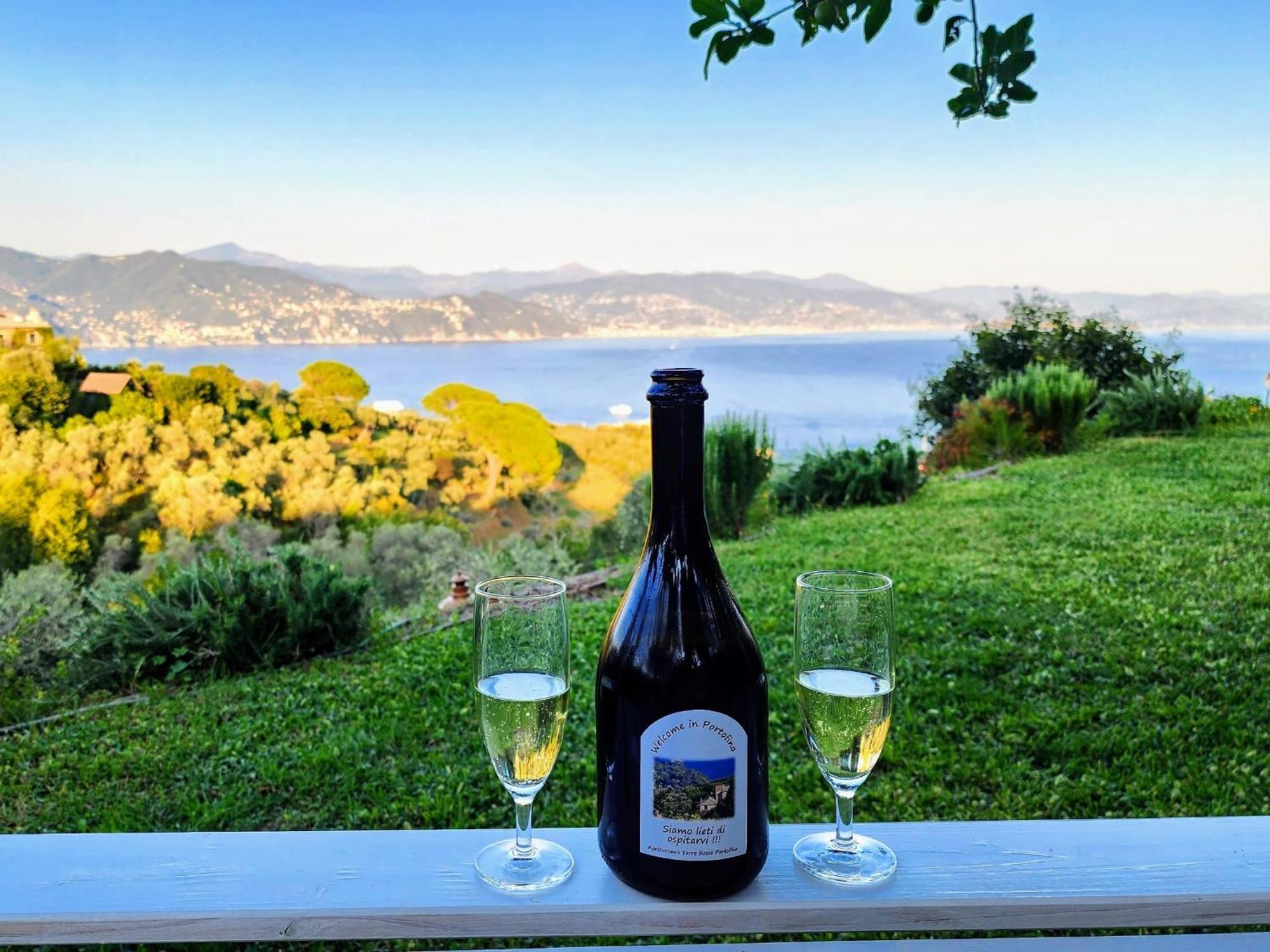 Agriturismo Terre Rosse Portofino Villa ภายนอก รูปภาพ