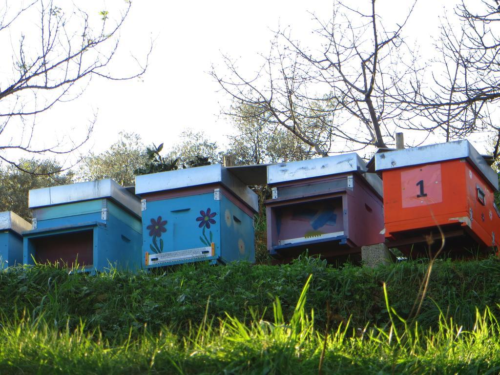 Agriturismo Terre Rosse Portofino Villa ภายนอก รูปภาพ