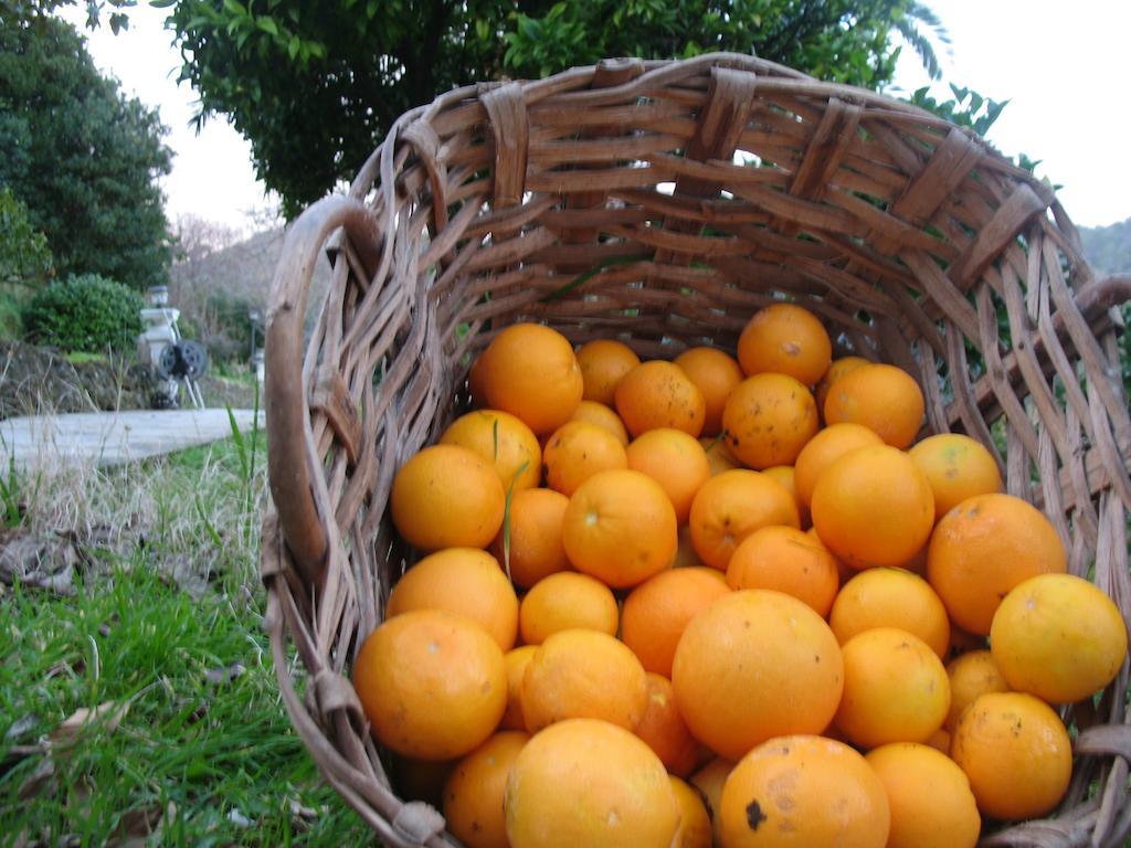 Agriturismo Terre Rosse Portofino Villa ภายนอก รูปภาพ