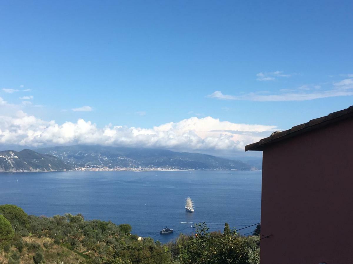 Agriturismo Terre Rosse Portofino Villa ภายนอก รูปภาพ